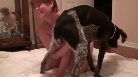 Dog Sex