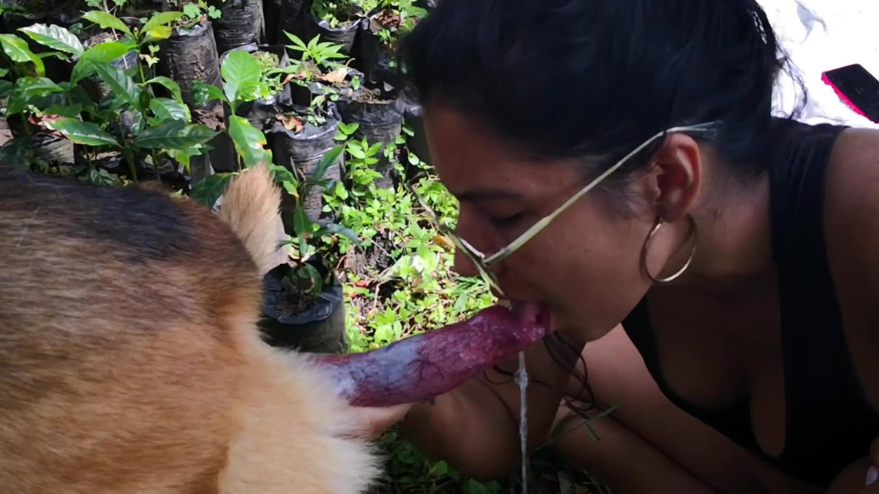Dog Sex