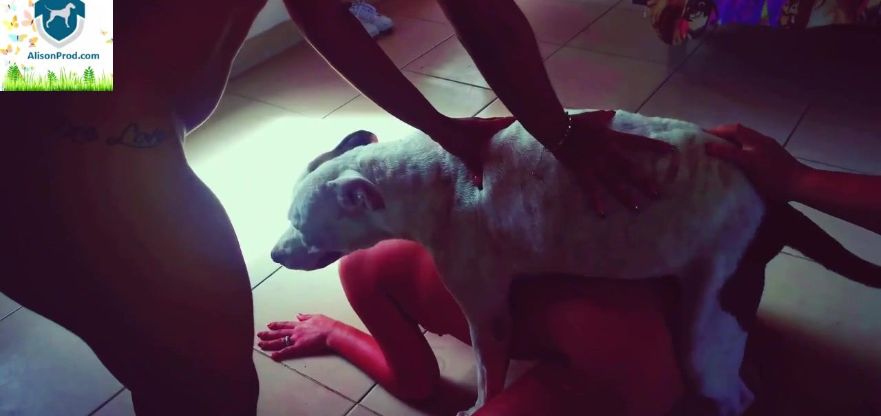 Dog Sex