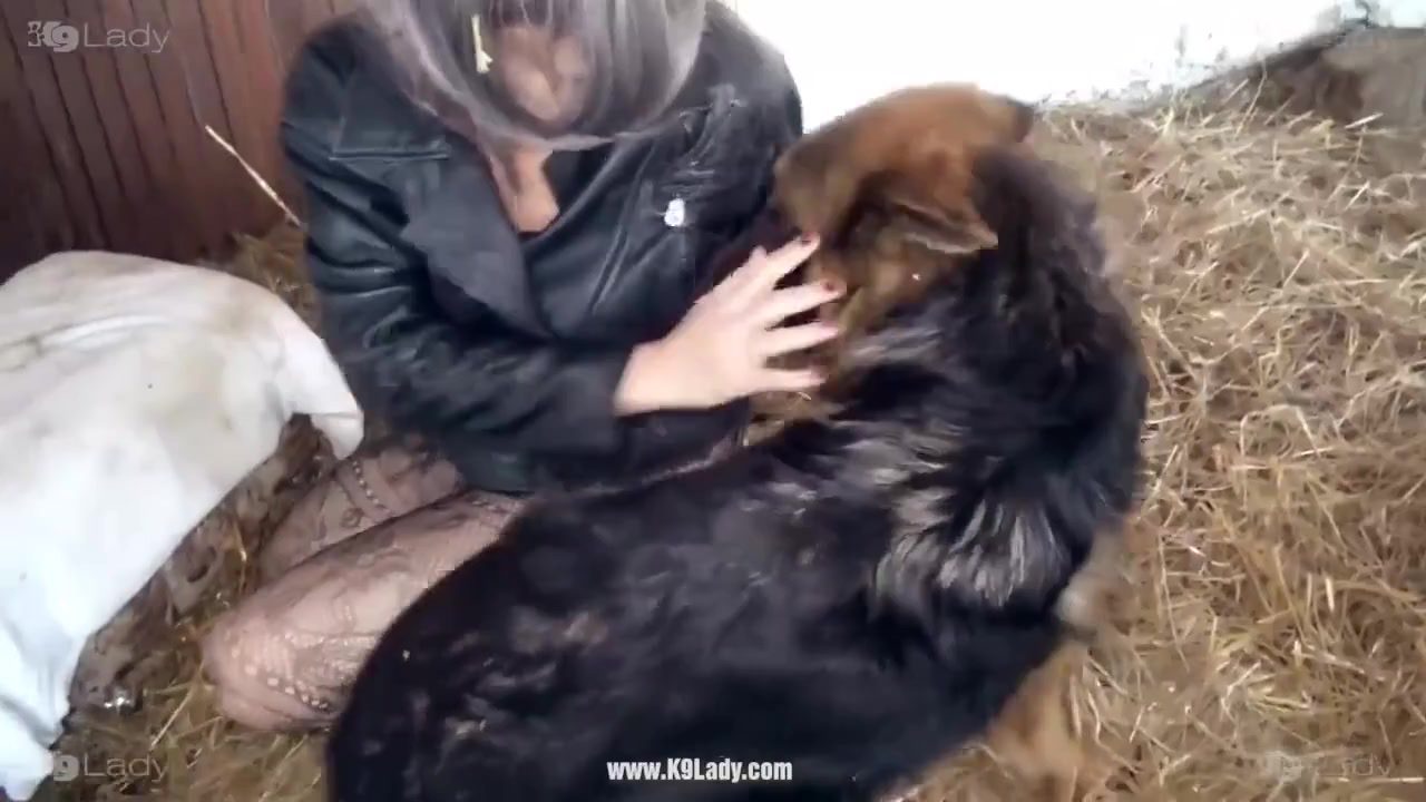 Dog Sex