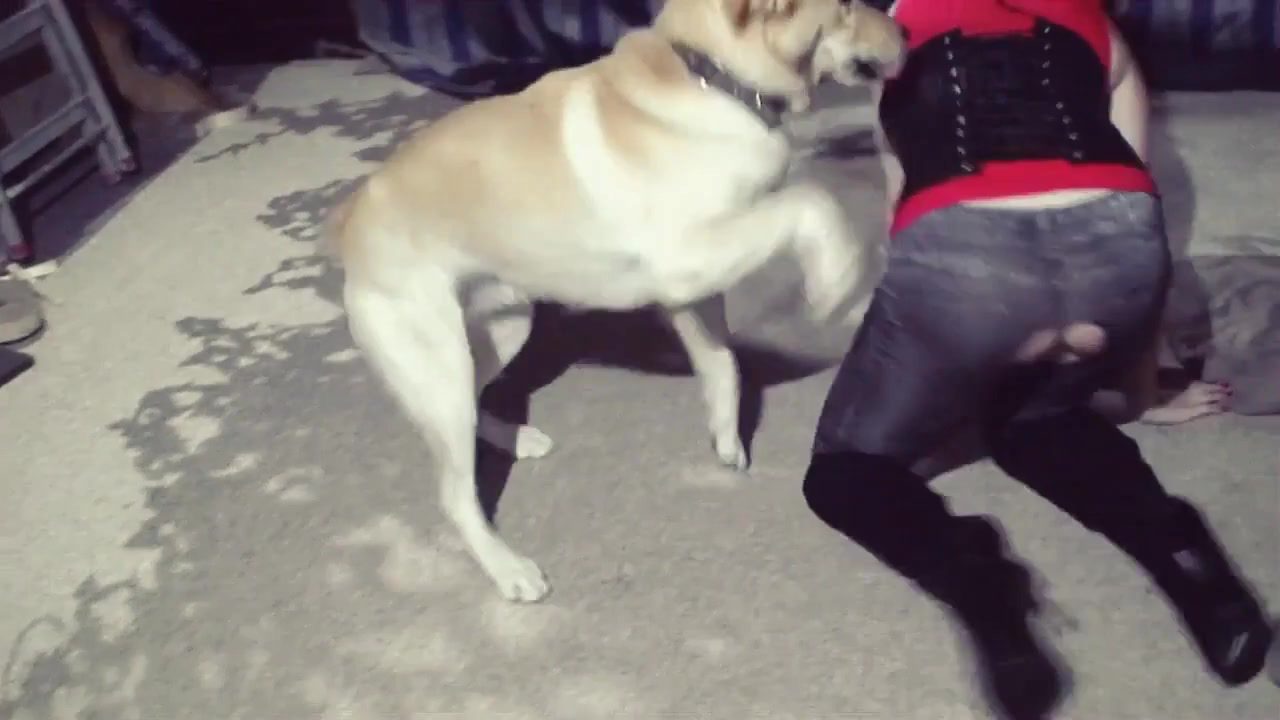 Dog Sex