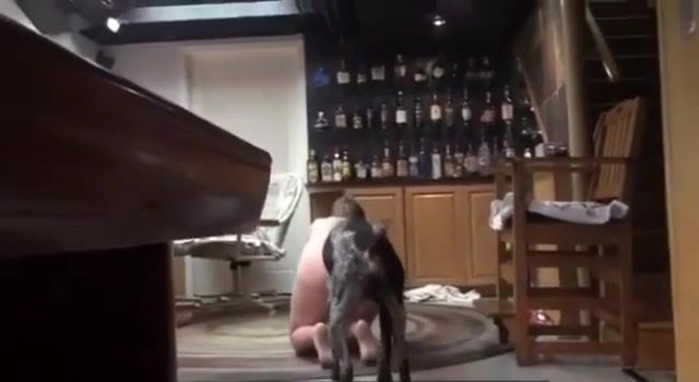 Dog Sex