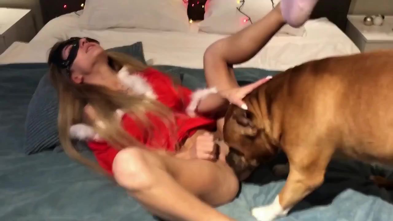 Dog Sex