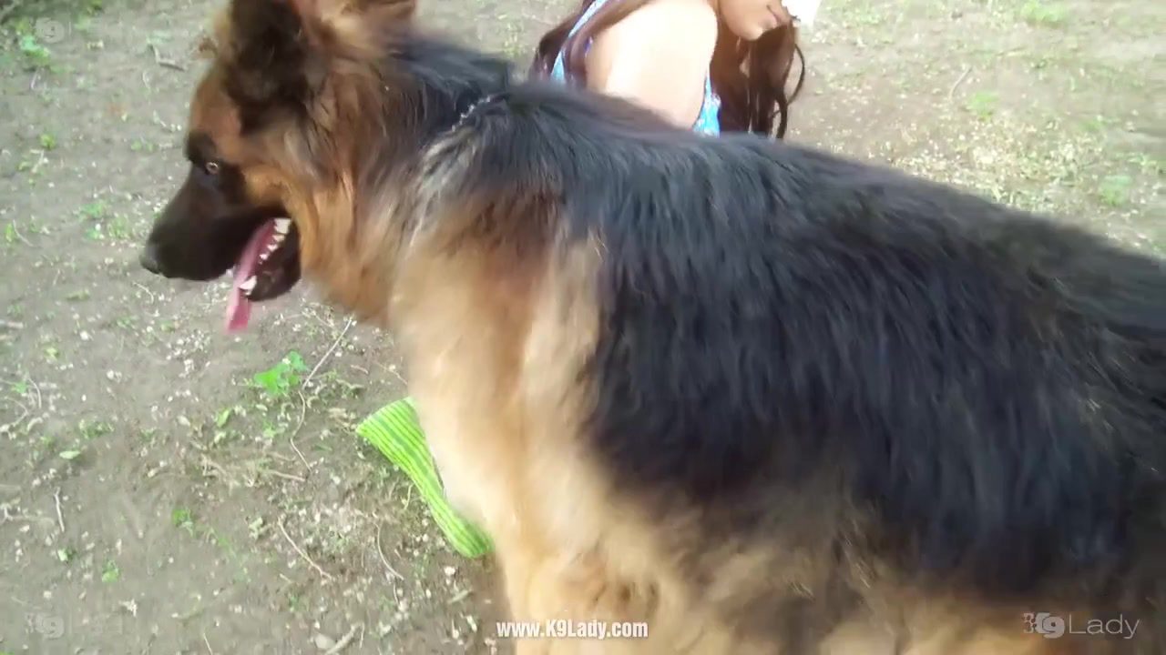Dog Sex