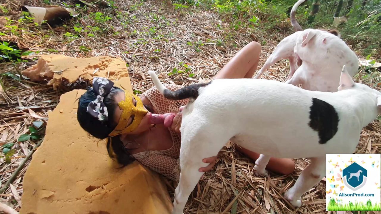 Dog Sex