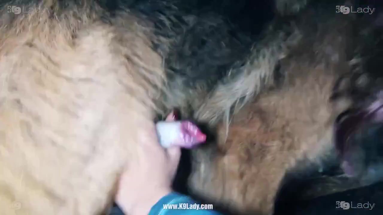 Dog Sex