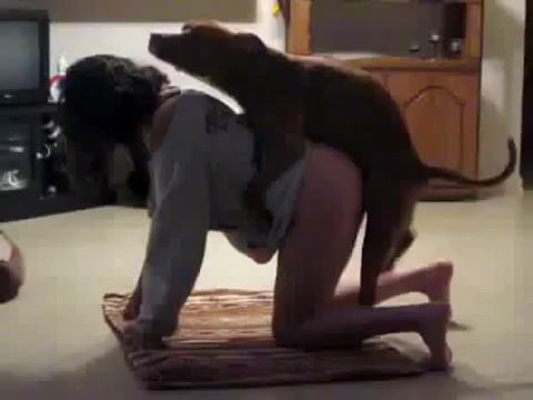 Dog Sex