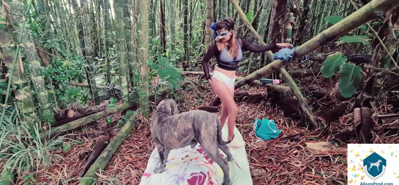 Dog Sex