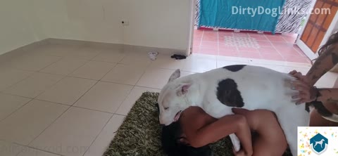 Dog Sex