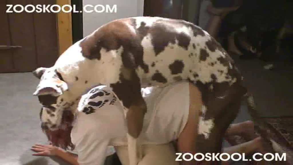 Dog Sex