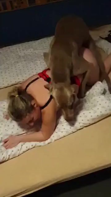 Dog Sex