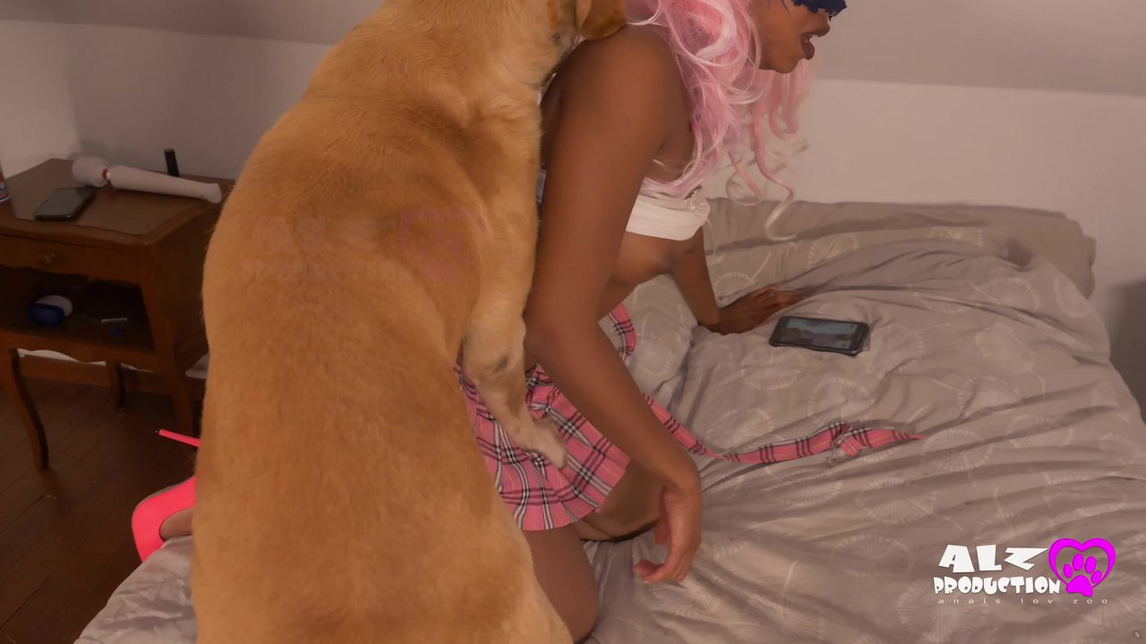 Dog Sex