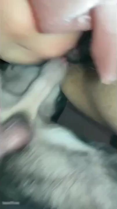 Dog Sex