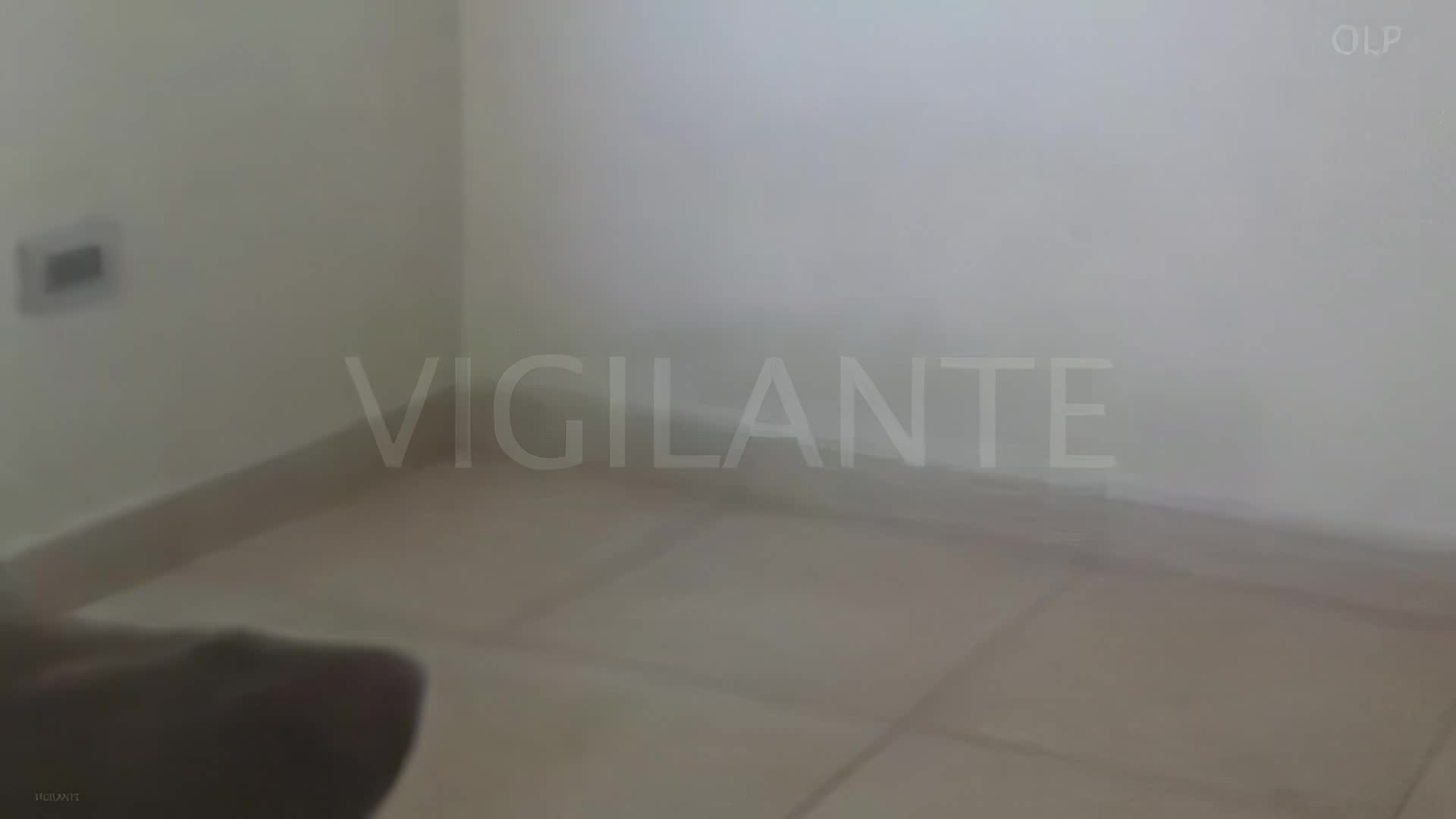 Dog Sex