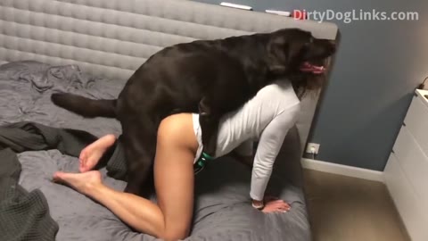 Dog Sex