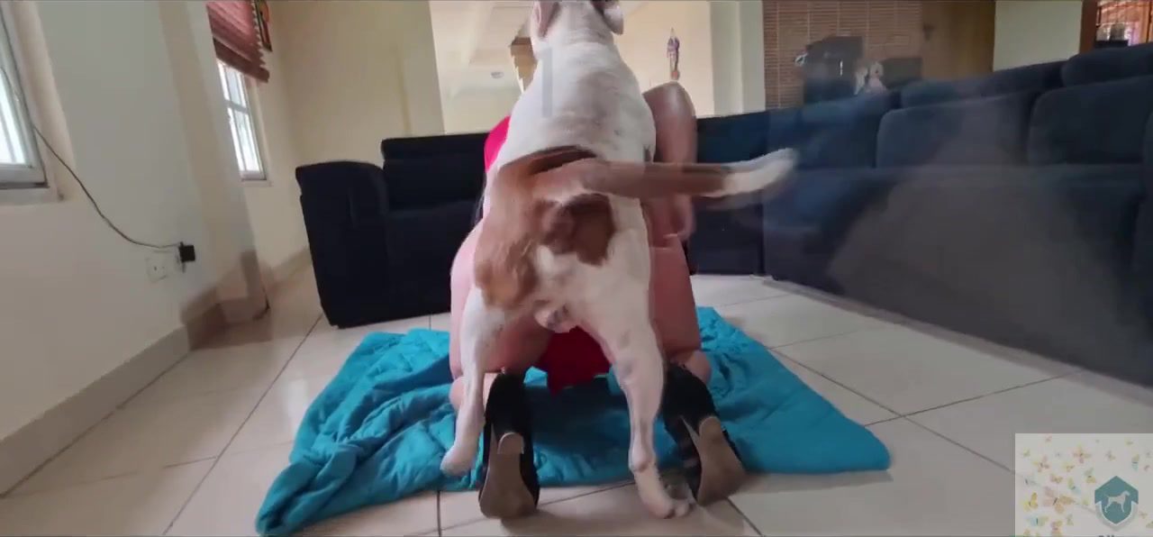 Dog Sex