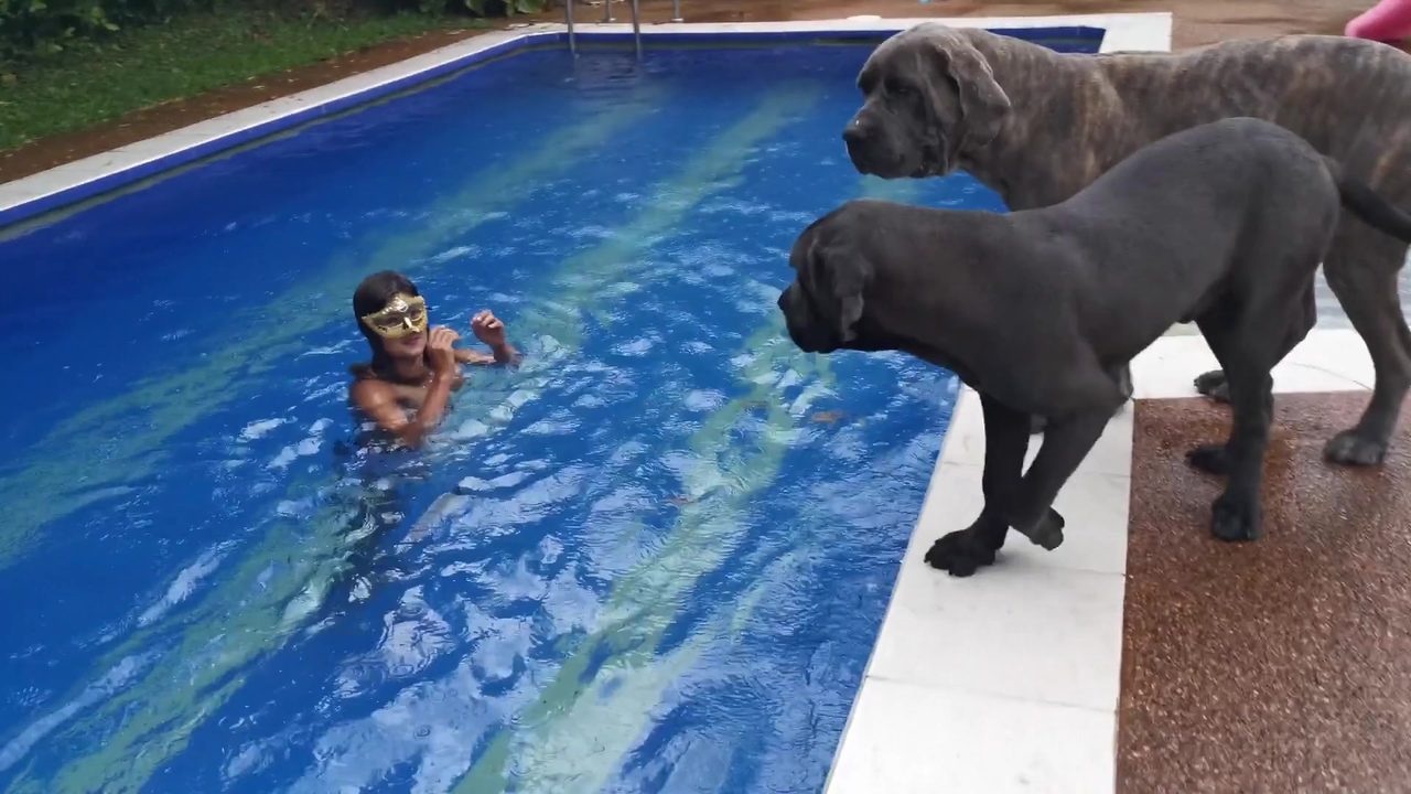 Dog Sex