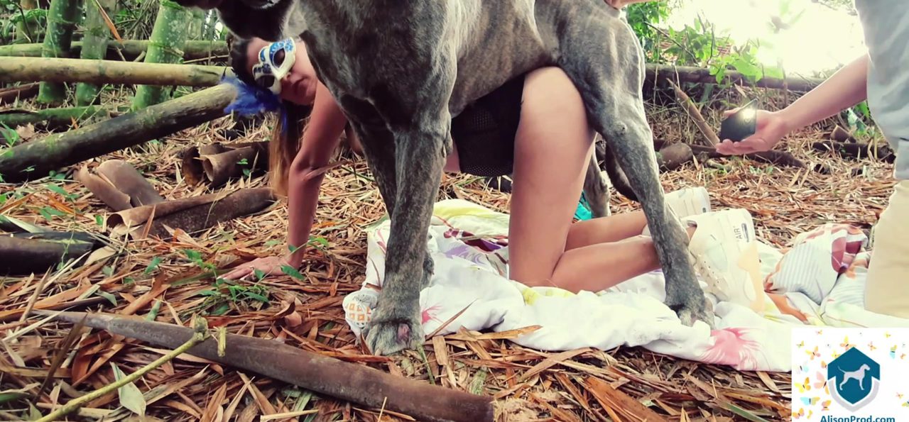 Dog Sex