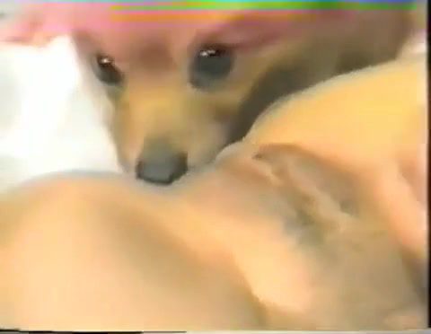 Dog Sex