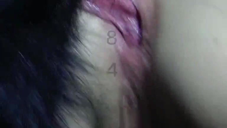 Dog Sex