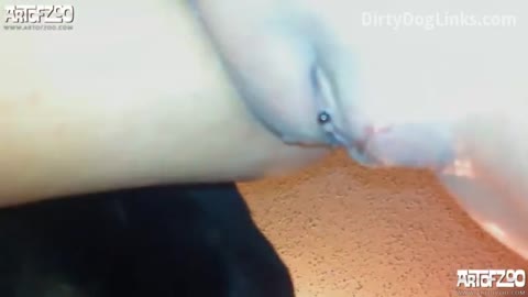 Dog Sex
