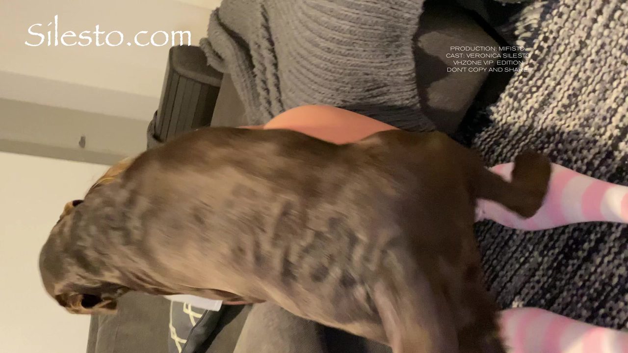 Dog Sex