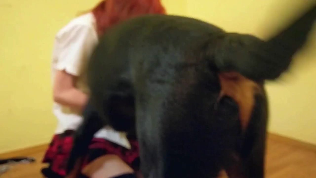 Dog Sex