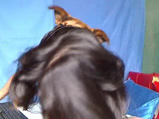 Dog Sex