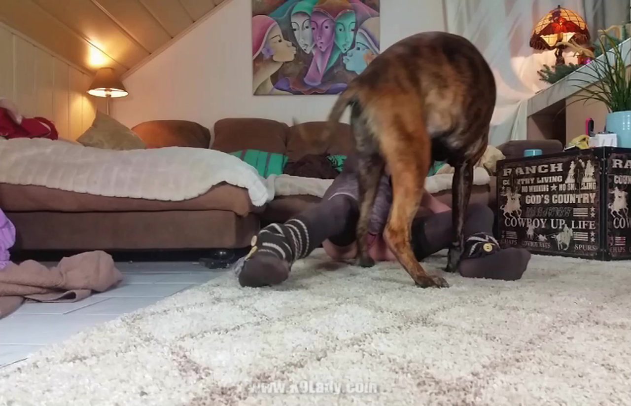 Dog Sex