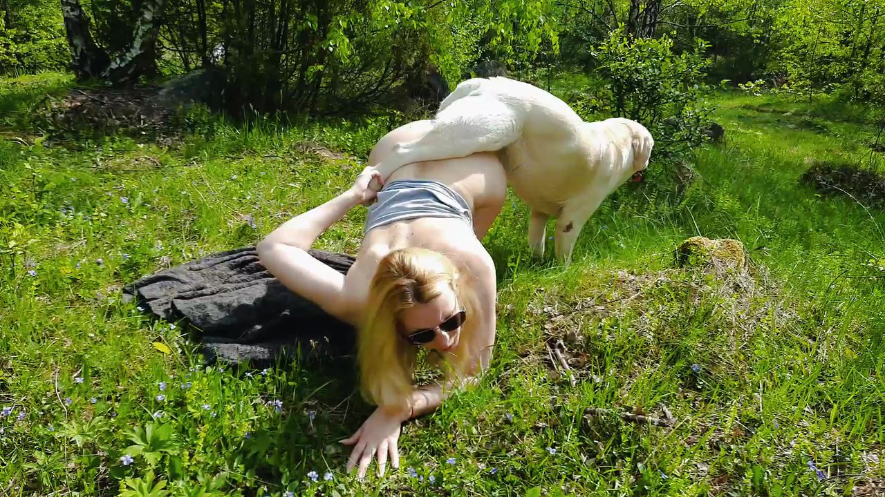 Dog Sex