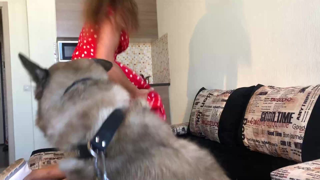 Dog Sex