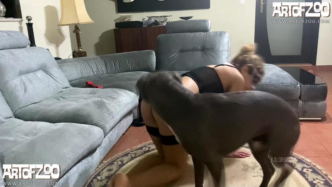 Dog Sex