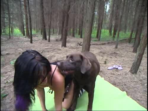 Dog Sex » Cute trash blogger had sex with a dog for streaming on periscope