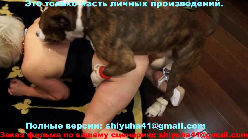 Dog Sex » CompilaÃ§Ã£o de mulheres russas em pornografia canina