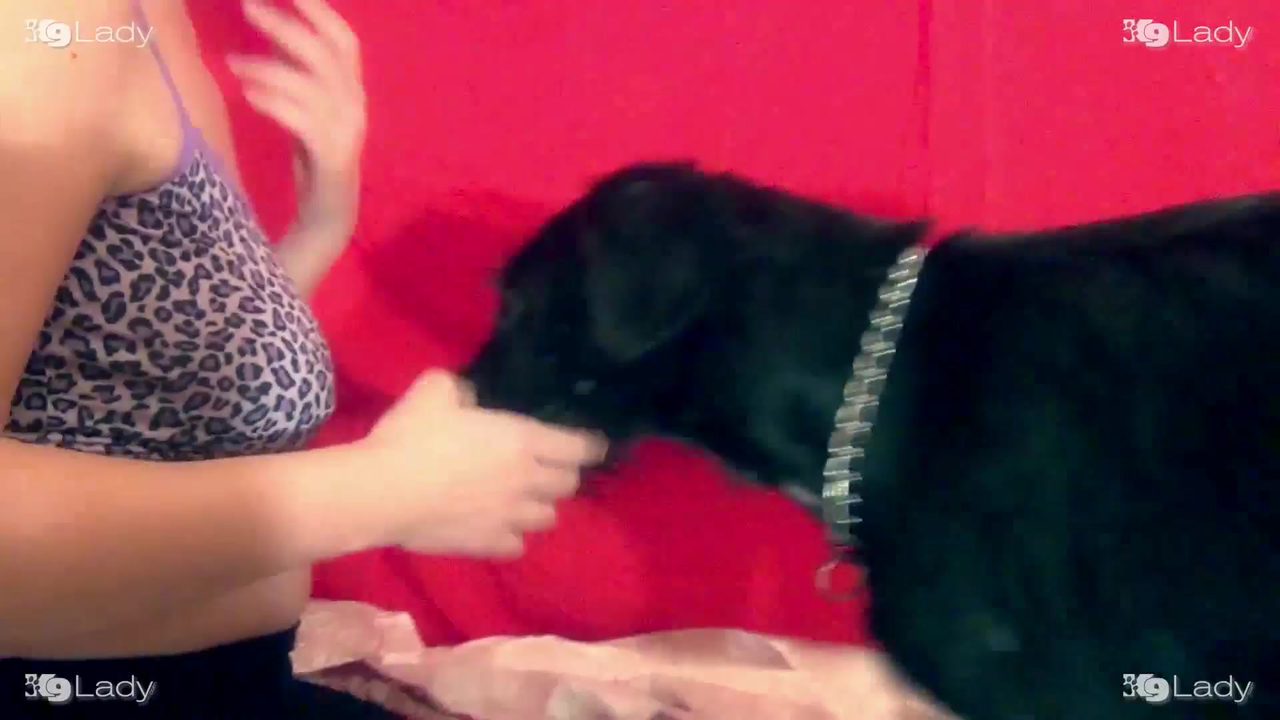 Dog Sex