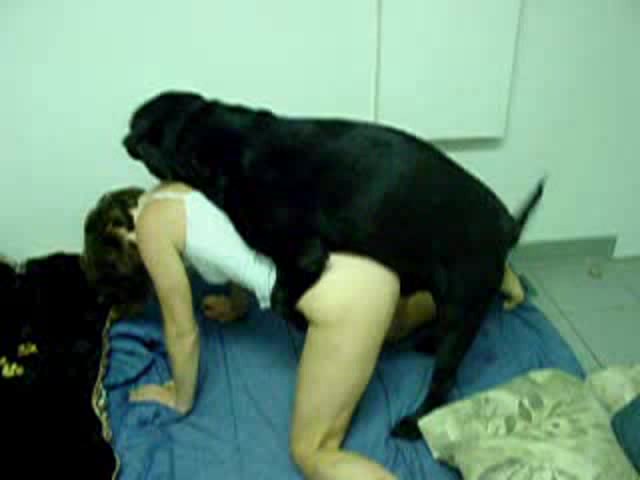 Dog Sex » Compilation porno canin avec des filles en levrette