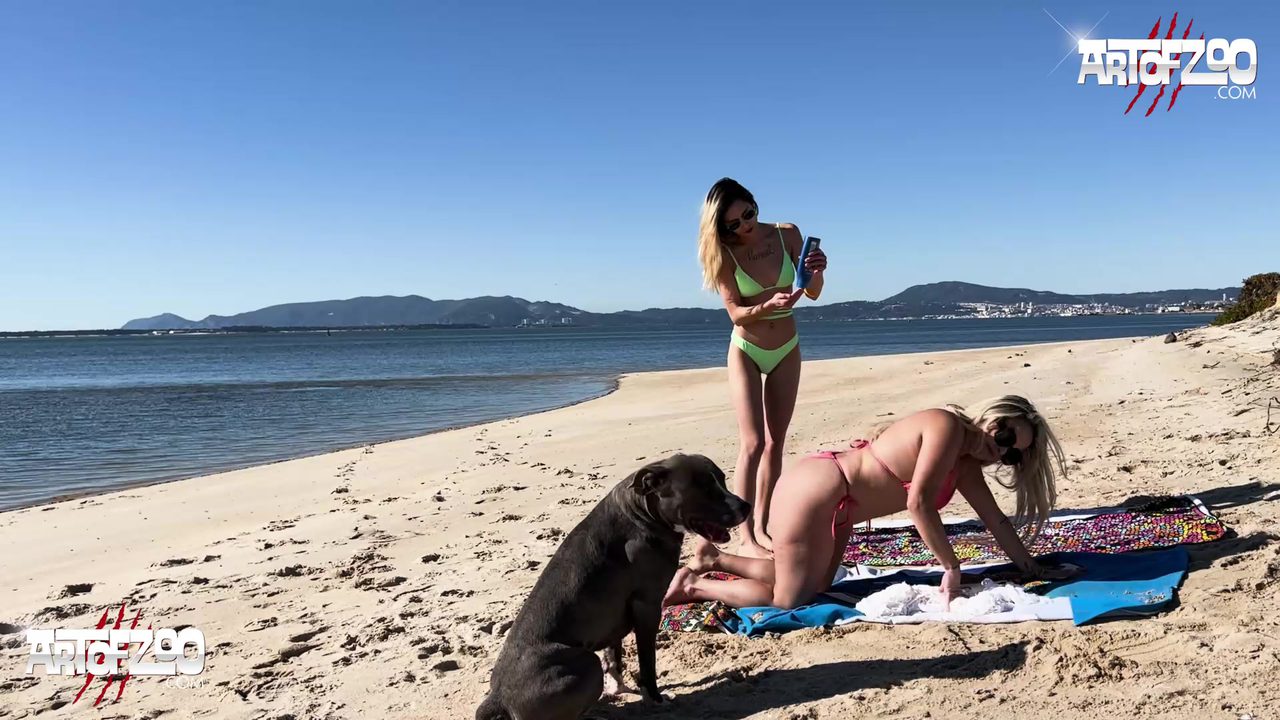 Dog Sex