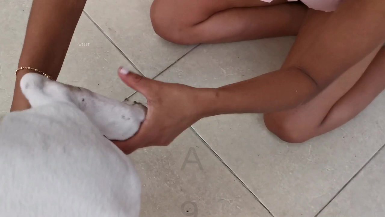 Dog Sex
