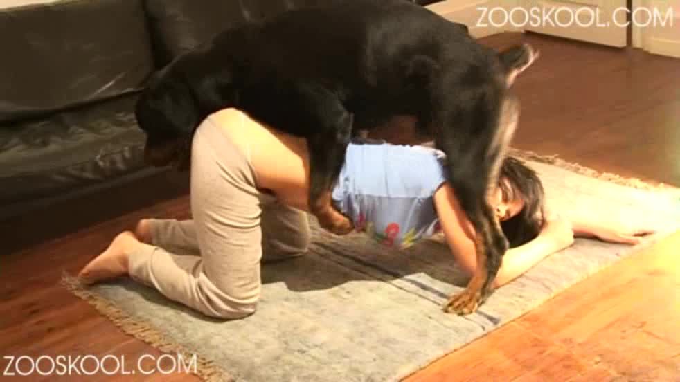 Dog Sex