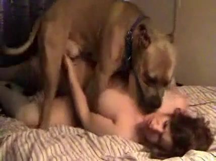 Dog Sex