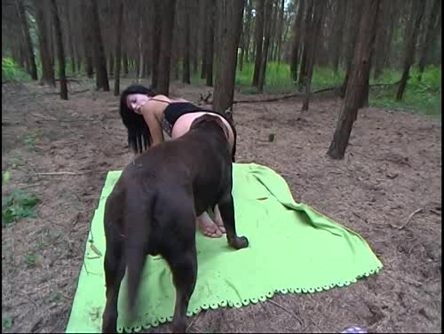 Dog Sex » Cute trash blogger had sex with a dog for streaming on periscope