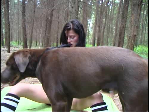 Dog Sex » Cute trash blogger had sex with a dog for streaming on periscope