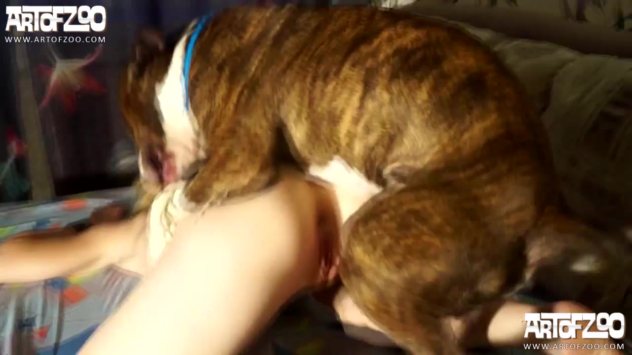 Dog Sex » Come on dog fuck me harder, come on don't stop
