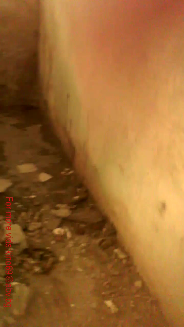 Dog Sex » Active dog fuck girl in abandoned building