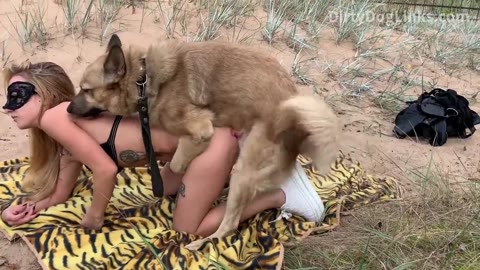 Dog Sex