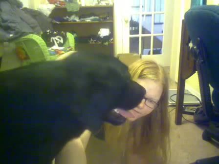 Dog Sex