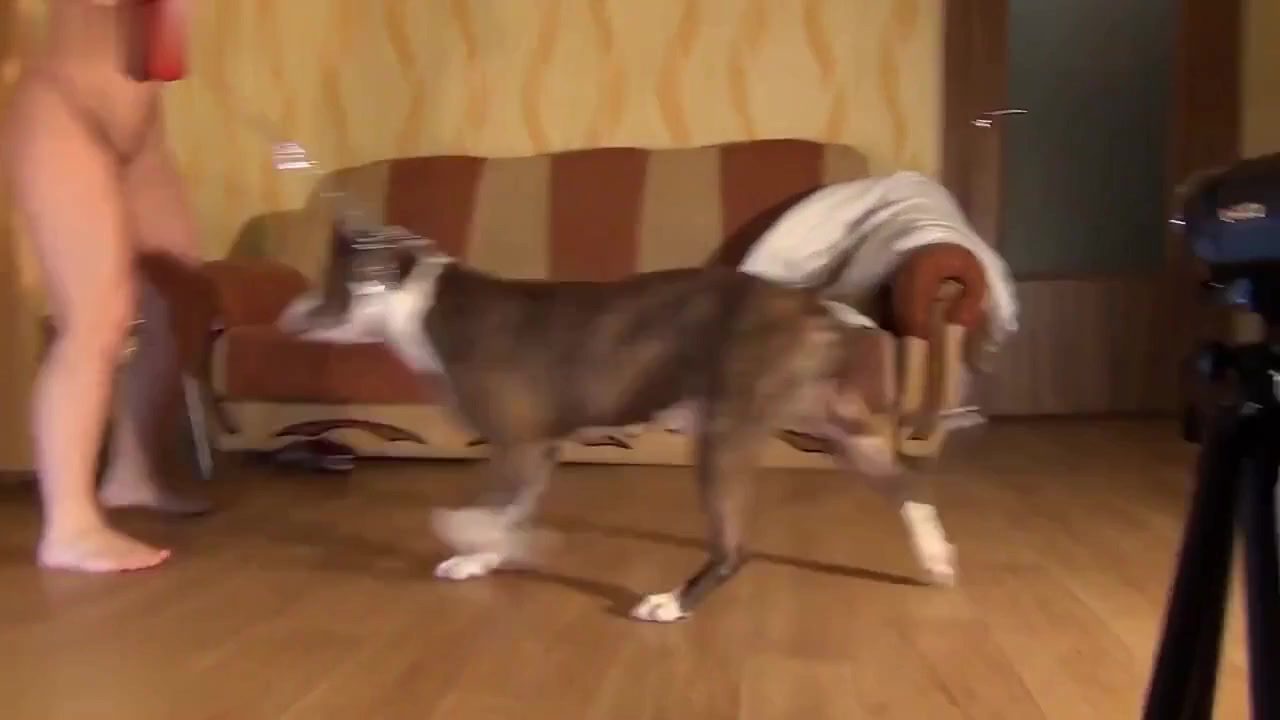 Dog Sex
