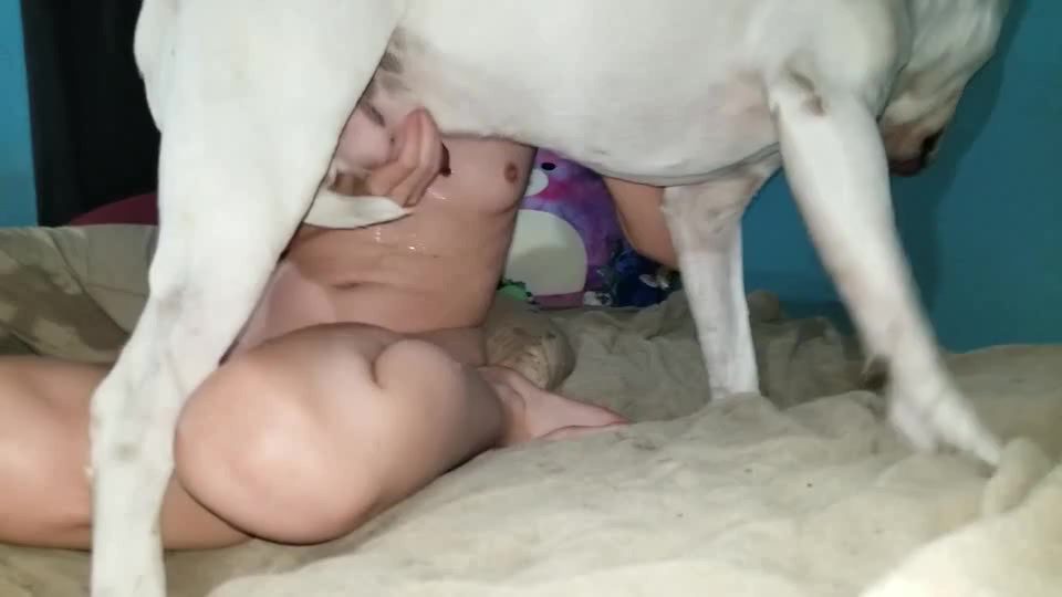 Dog Sex