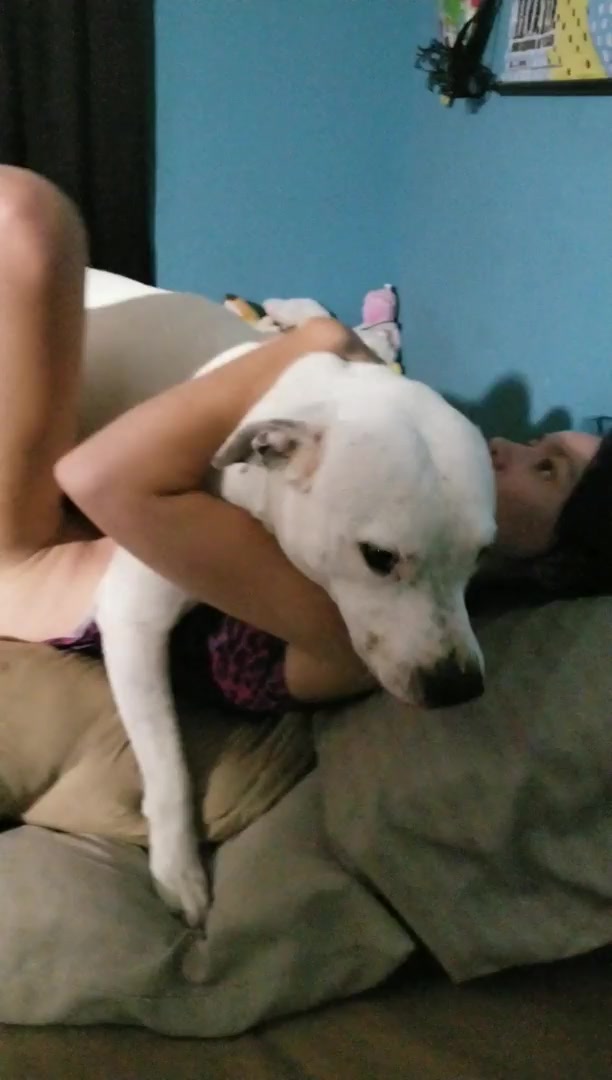 Dog Sex » Missionary sex with dog on bed