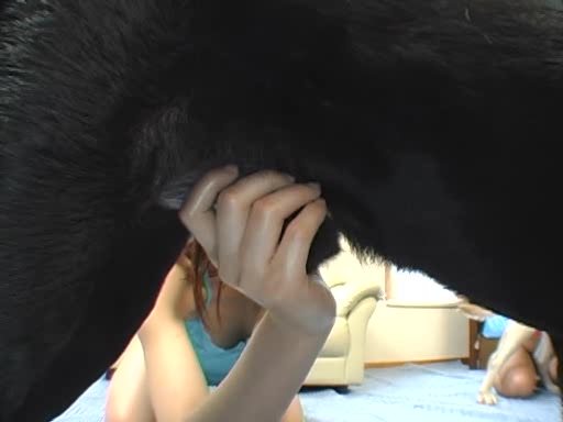Dog Sex » Two japanese teen having sex with a dog by turns